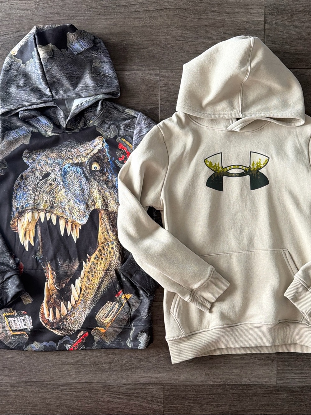 Under Armour Forrest Outdoor & Dinosaur Hoodie Bundle Boys M 8-10
